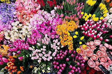 探索超现实水下世界 黑白手绘风《Silt》实机演示