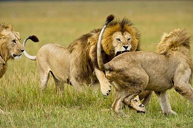 叙事冒险游戏《最后一次见你》新预告 宣布10月10日发售